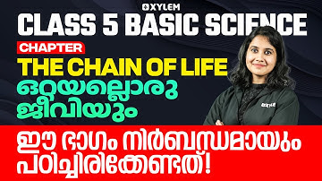 Class 5 Basic Science | The Chain of Life / ഒറ്റയ ല്ലൊരു ജീവിയും | Xylem Class 5
