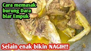 cara memasak burung dara | Cara memasak burung dara biar empuk dan bikin nagih!!