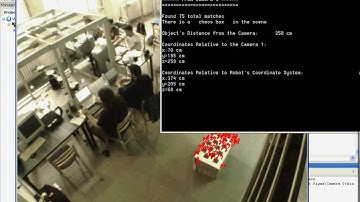 3D Position Estimation