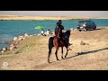 البساطة الهدوء الراحة النفسية ما تجعل من الحياة جميلة قرية حياكا آياز زاخولي Zeryê 