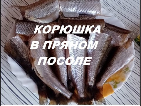 КОРЮШКА В ПРЯНОМ ПОСОЛЕ, КОРЮШКА РЕЦЕПТЫ