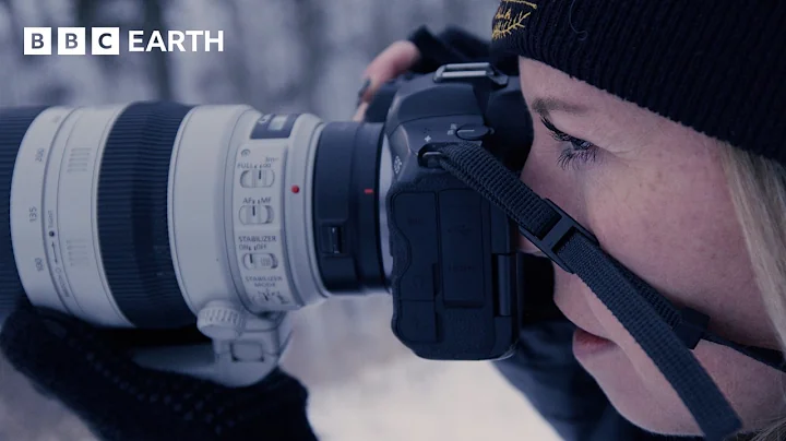 Exploring Nature Through the Lens of Wildlife Photographers | BBC Earth Explore thumbnail