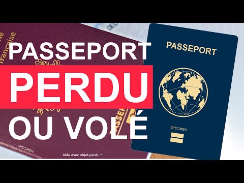 Vidéo: Comment Obtenir Un Passeport En Cas De Perte
