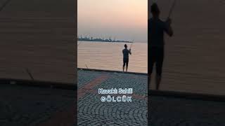 Battı Balık Yan Gider Resimi