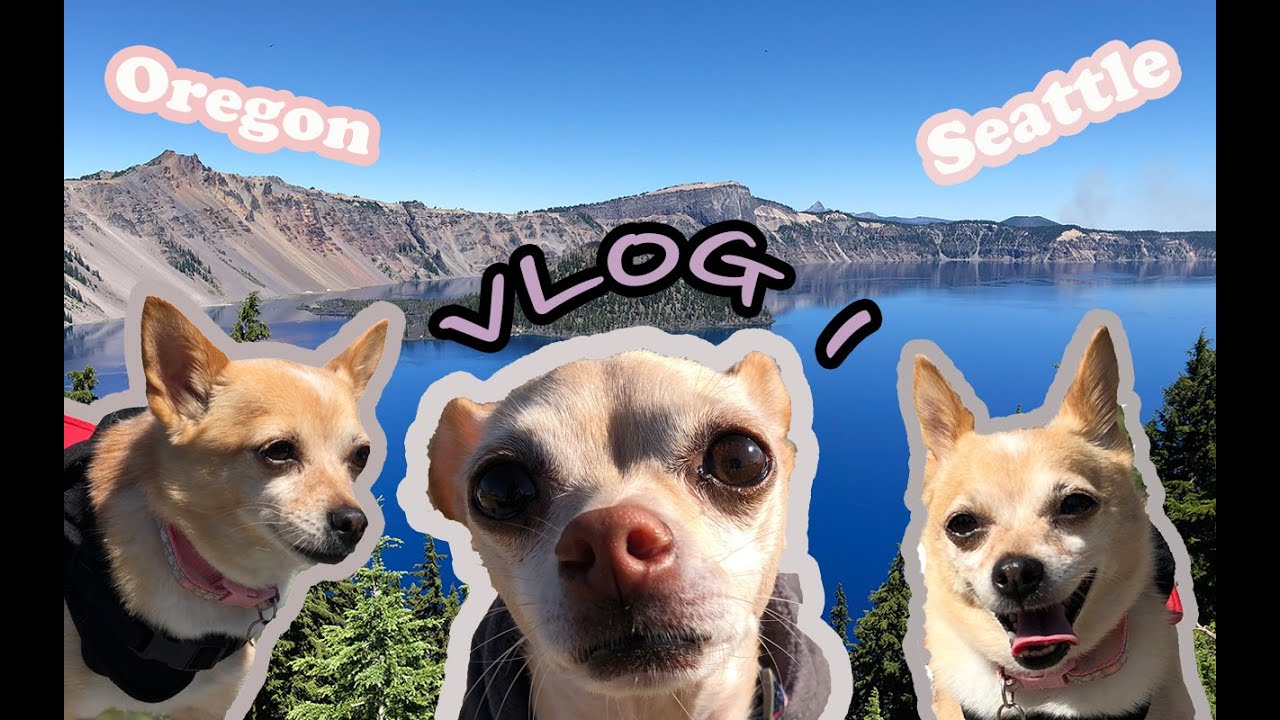 SOORIANNA ♡ VLOG 1 ♡