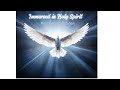 Immersed in Holy Spirit