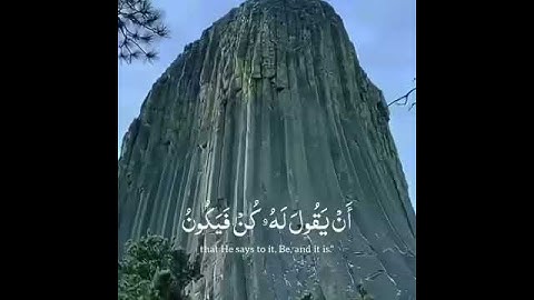 اجمل حالات واتس اب قران كريم بصوت جميل جدا