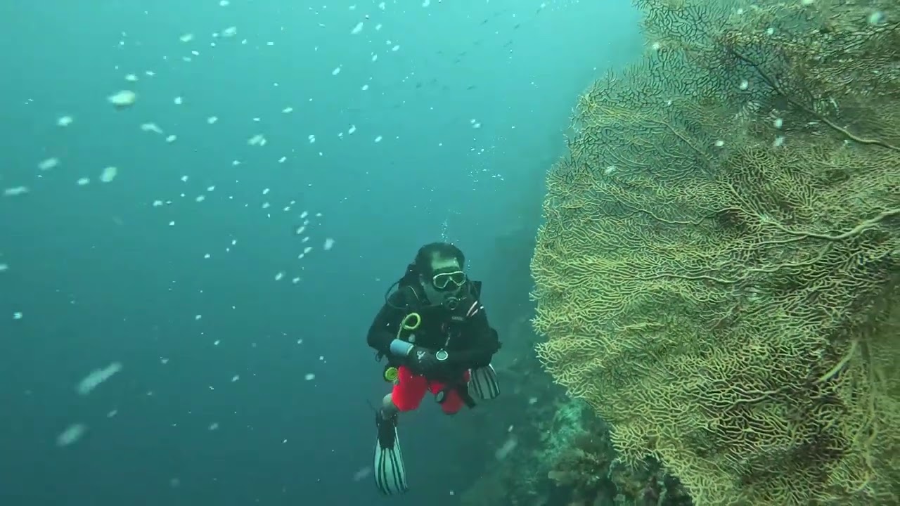 2026.01.26 01 SCUBA FUN BOAT DIVESTORY MOALBOAL