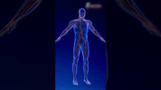 Diabetes Complications Explained | Heart, Kidney & Eye Risks | Doctor Talk