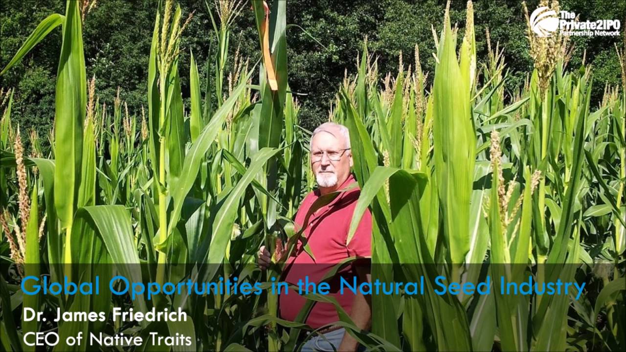 Global Opportunities in the Natural Seed Industry