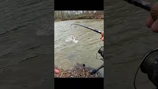 Eerst Stilte, dan Chaos! #fishing #pike #Snoek
