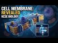FORM 1 BIOLOGY KCSE REVISION | CELL PHYSIOLOGY