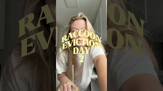 Day 2 of trying to capture the raccoons 🙃 #morningvlog #help #raccoons
