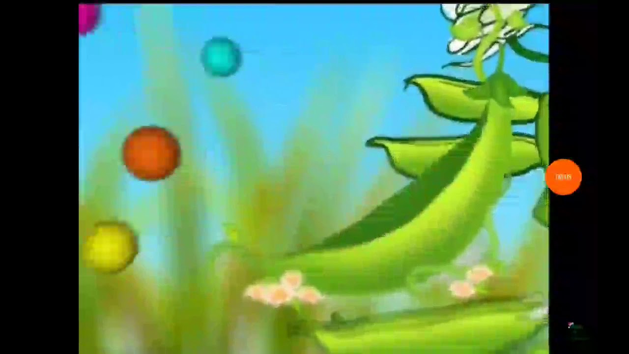 заставка борсак