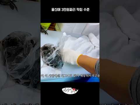 울산에 3만원짜리 막회 수준 #shorts