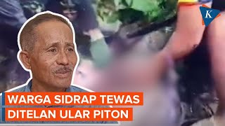 印尼50歲婦女失蹤 隔日發現遭大蟒蛇吞下身亡