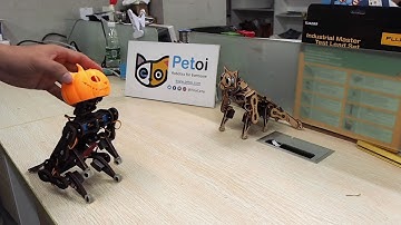 Get Spooky with Nybble! | Halloween Costume & Coding Fun | PetoiCamp