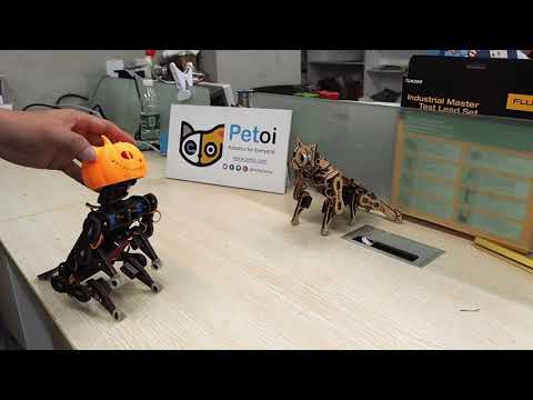 Get Spooky with Nybble! | Halloween Costume & Coding Fun | PetoiCamp