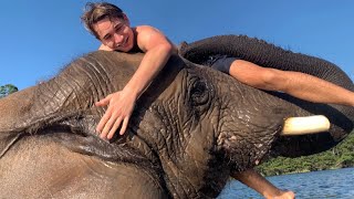 I WENT SWIMMING With An ELEPHANT !