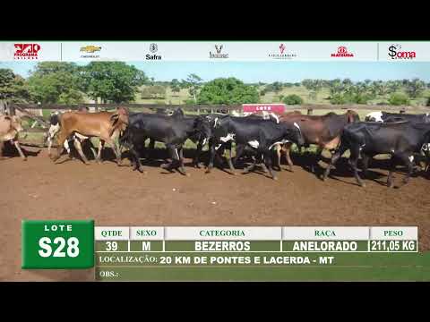 LOTE S28