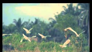 Wonderful Indonesia Tvc Di Fox Channel