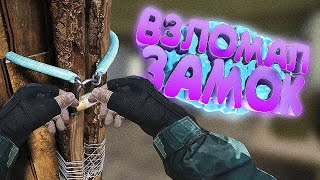 :        DayZ [ Stalker RP ]