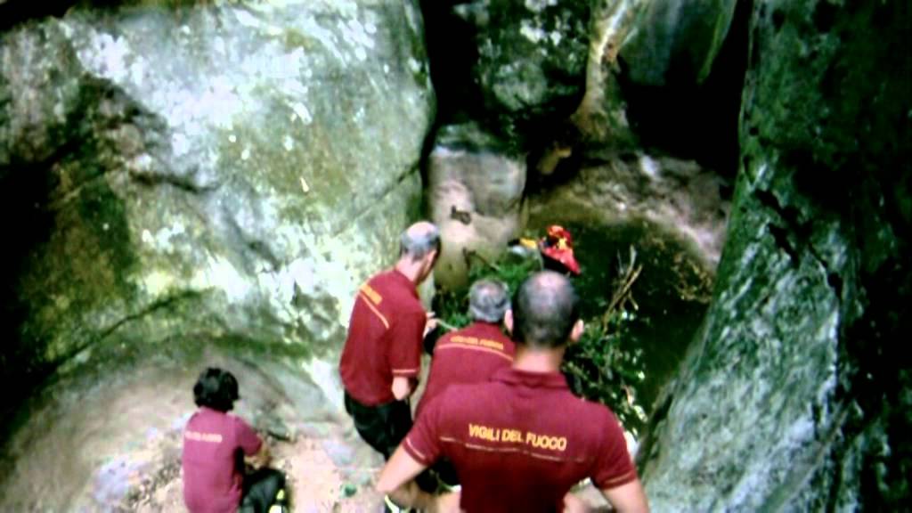 Salvataggio di un cane e un piccolo capriolo