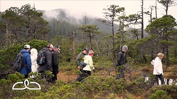 Bushwhacking | Alaska