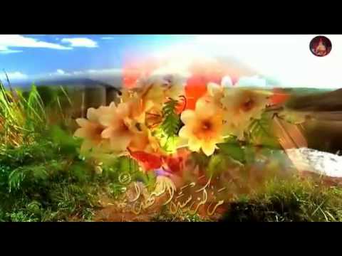 قصيده اسمع صوت باسم خادم المنبر افراح شعبان