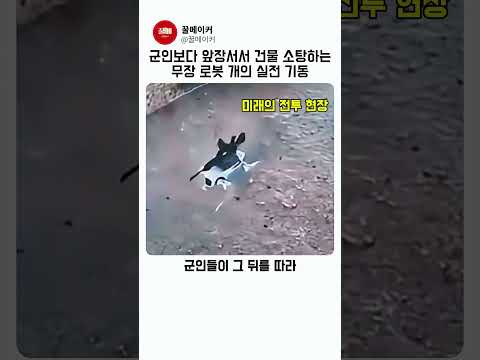 군인보다 앞장서서 건물 소탕하는 무장 로봇 개의 실전 기동 thumbnail