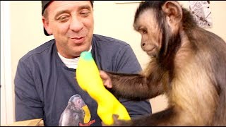 Capuchin Monkey Mushy Banana Mail Vlog!