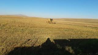 Tarım Vlog #7 new holland 8055 ile anason biçimi