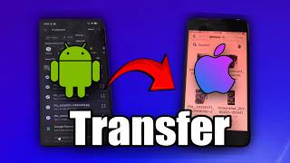 How to Transfer Photos From Android to iPhone (Easy Method)