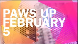 PAWS UP Week of 2/5 Virtual Recognition and BR/CK/MS News!