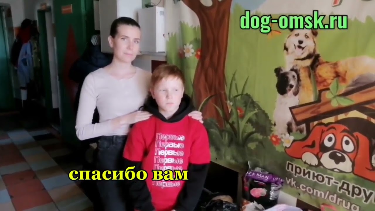 Итоги дня 17.10.2025