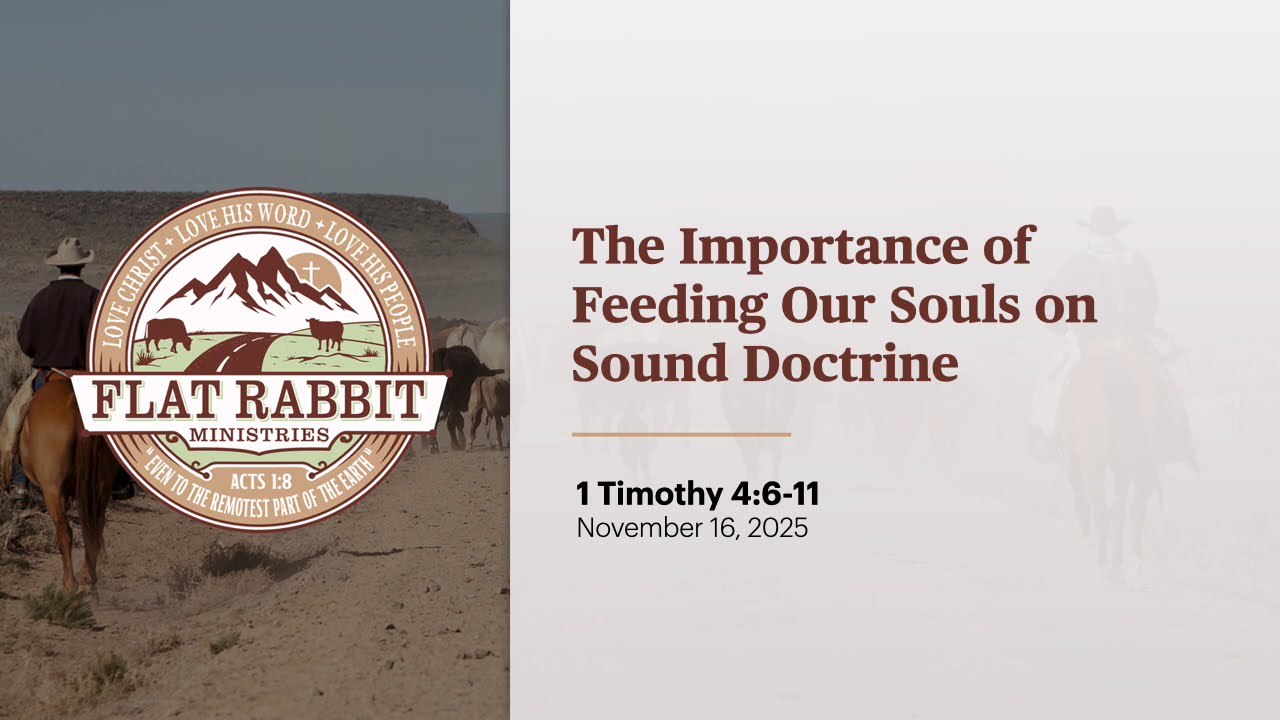 The Importance of Feeding Our Souls on Sound Doctrine // 1 Timothy 4:6-11
