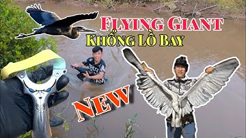 Ná Cao Su | 2 Giờ Săn Chim Bay – Kỹ Năng Thực ChiếnSlingshot | 2 Hours Bird Hunting – Real Skill