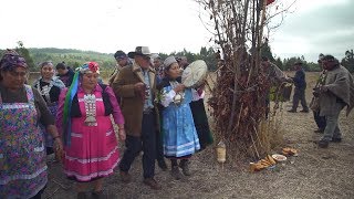 Los mapuches luchan por su lengua y su cultura