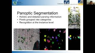 Trailer: Knowledge Distillation for Efficient Panoptic Semantic Segmentation
