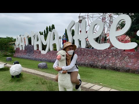 Pattaya Vlog : Pattaya Sheep Farm 🐑 Besar tempat ni ‼️‼️Bangkok life CYMJ #34