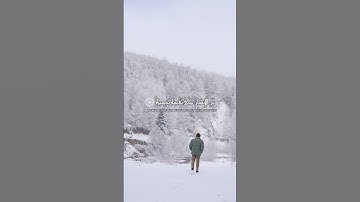 تلاوة خاشعة الشيخ سعود آل جمعة | سورة القيامة الآيات ١٤-١٦