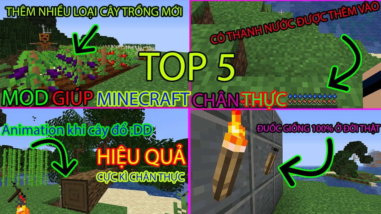 ️🔥TOP 5 MOD GIÚP MINECRAFT TRỞ NÊN CHÂN THẬT HƠN ️🔥 | THÊM NHIỆT ĐỘ ...