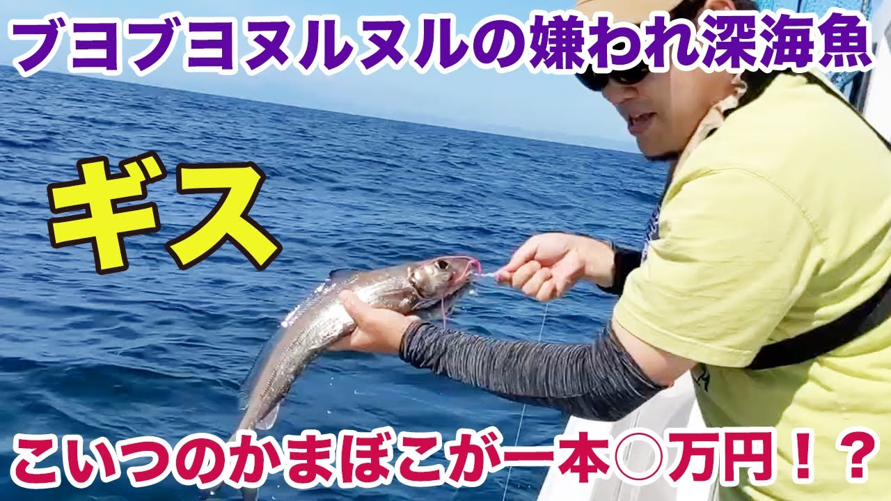 ブヨブヨヌルヌルの嫌われ深海魚で作るかまぼこが一本○万円！？