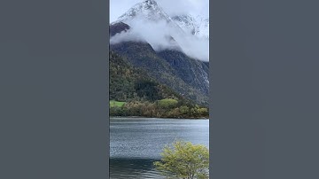 #القارئ سعد الغامدي #اذكرالله #المصحف #راحة_نفسية