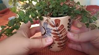 Sakızlı Asmr Show And Tell Bit Pazarı Ganimetleri