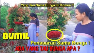 Vlog Bumil Bumil Prank Ayah Sembarang Namai Ini Bunga Lucu Bumil