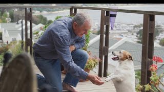 Angels of Assisi grant to help senior dogs