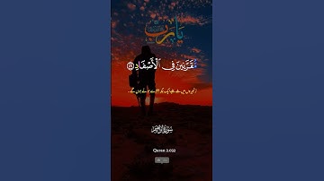 سورة إبراهيم #القران_الكريم #اكسبلور #تلاوتقران #eidcelebration #القرانالكريم