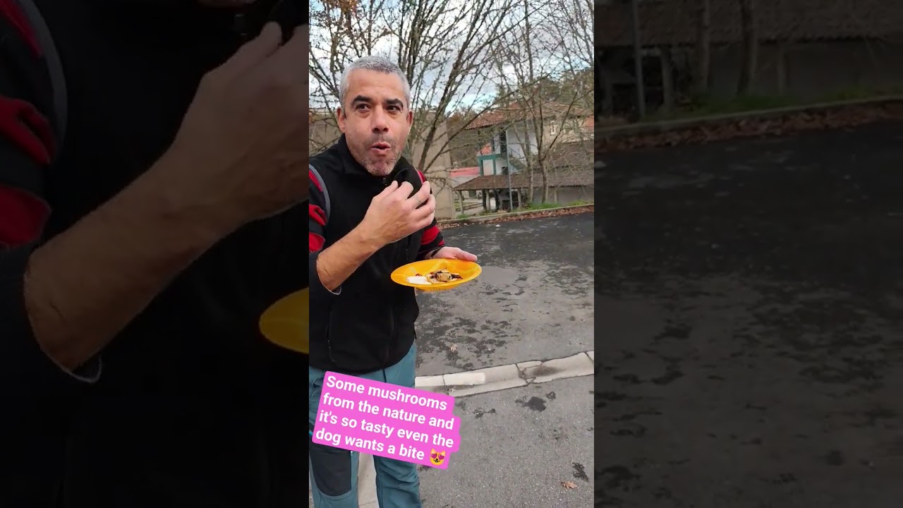 Wild mushrooms, nettles, garlic and tomatoes are saut&eacute;ed together in a pan.