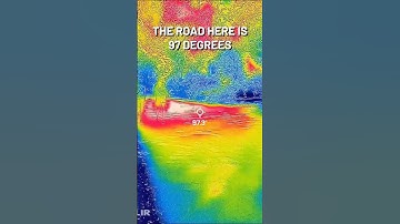 How trees help cool cities - exploring the heat island effect with a thermal camera